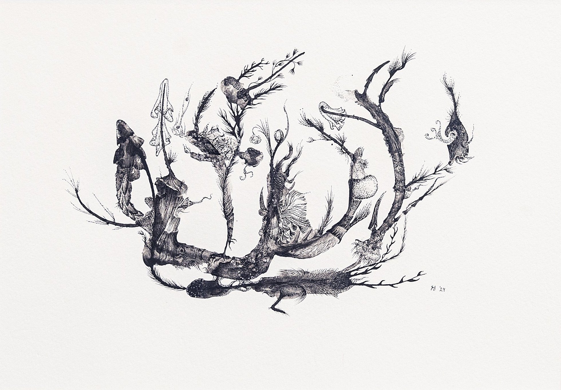 Vitae IV