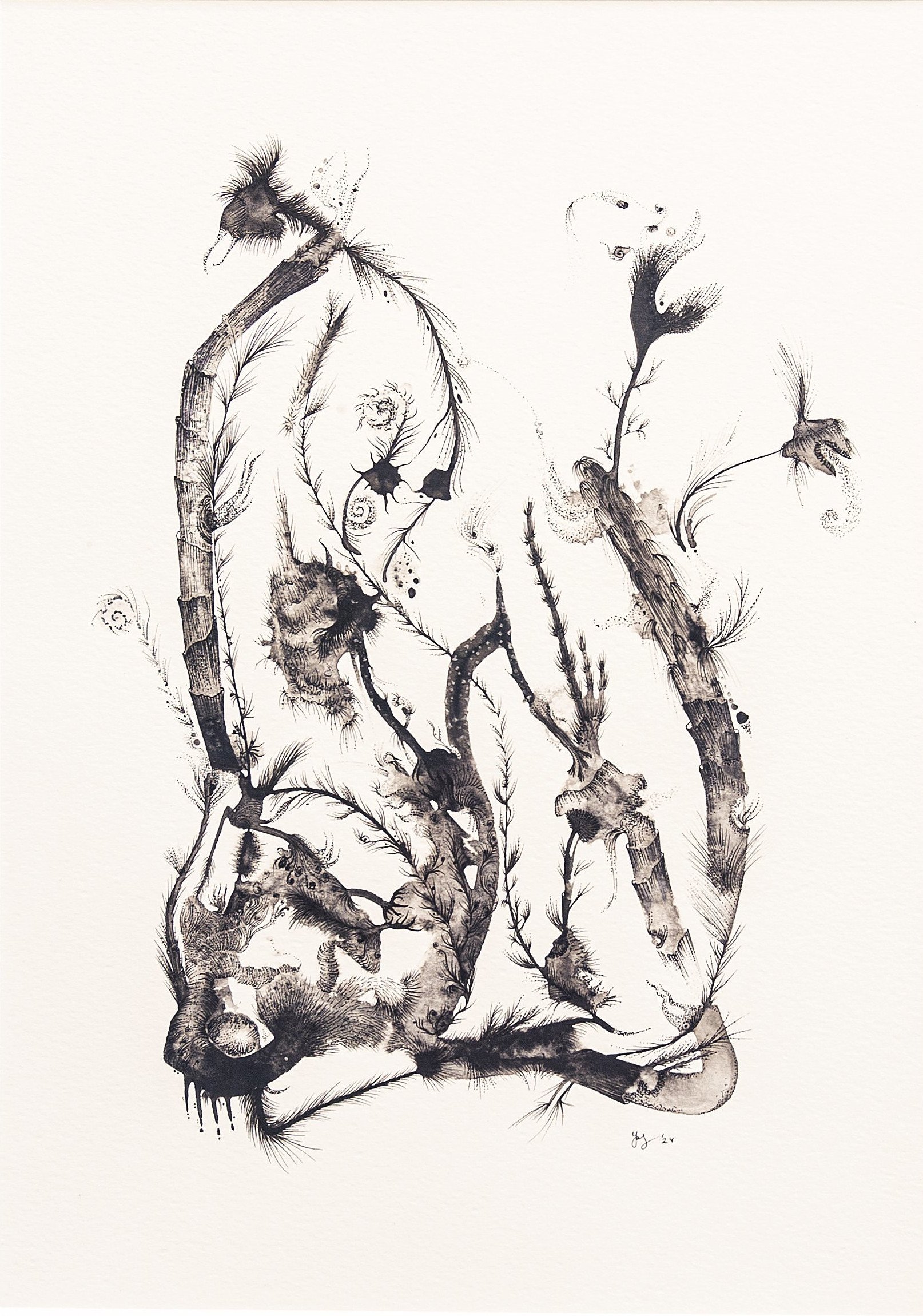 Vitae VI